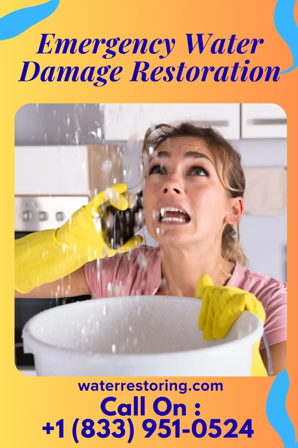 Emergency Water Damage Restoration in Mexico Beach, FL